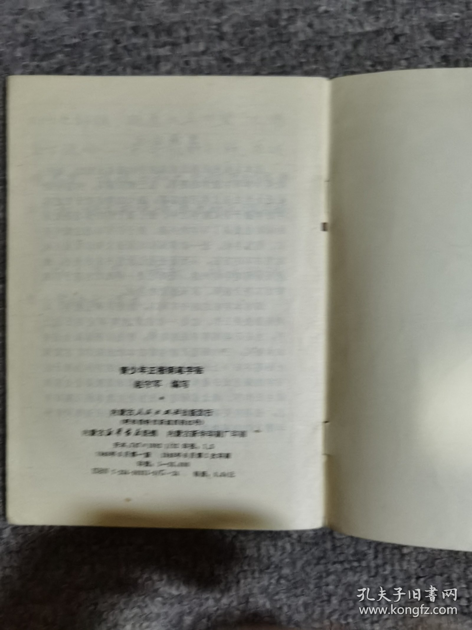 青少年正楷钢笔字贴