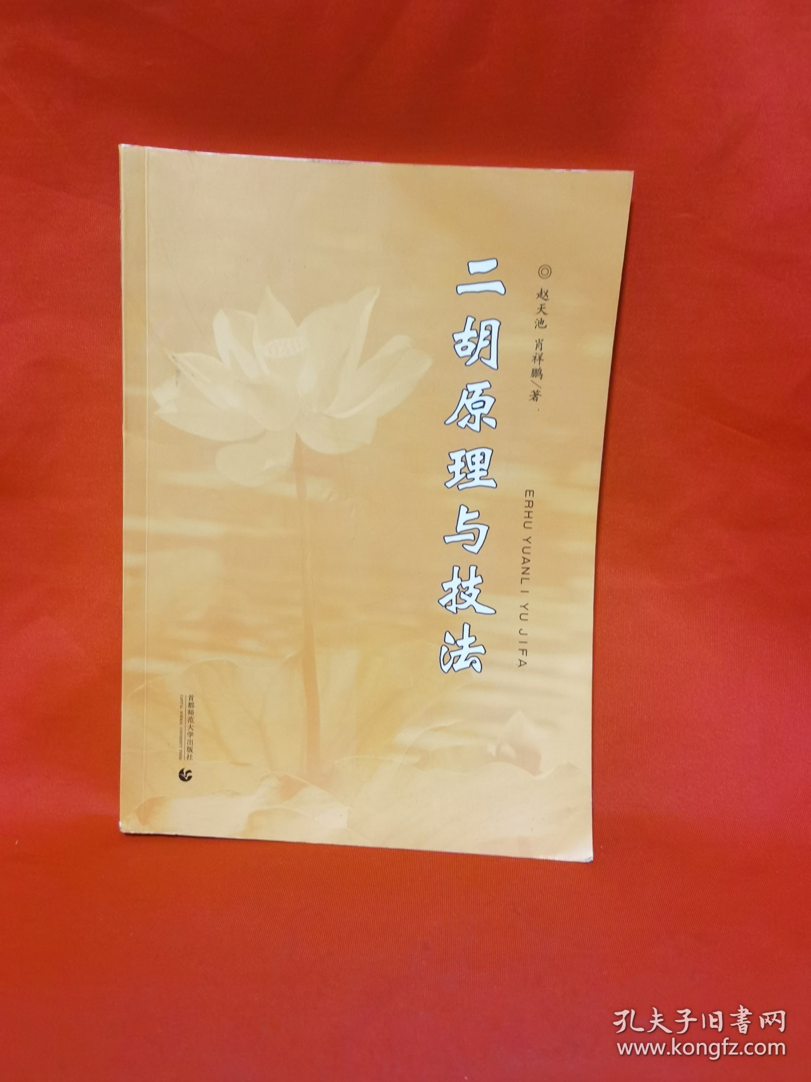 二胡原理与技法