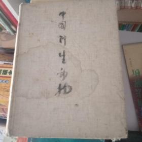 中国野生动物