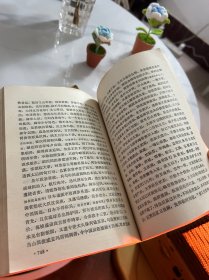 清史通俗演义