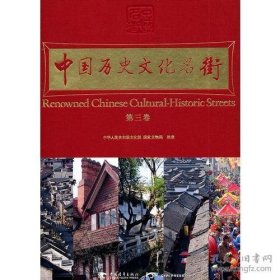 中国历史文化名街（第3卷）（中青雄狮）