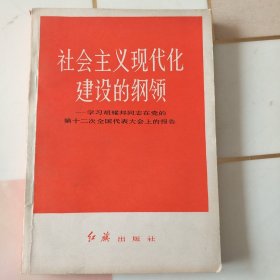 社会主义现代化建设的纲领