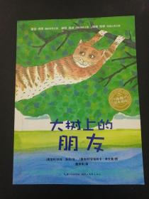 海豚绘本花园：方格子老虎、大大行我也行、老师我为什么要上学、大树上的朋友、乘着校车去旅行、乘着飞机去旅行、皮皮猪和爸爸、波比是个万人迷【8本合售】