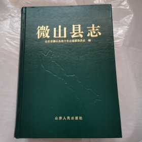 《微山县志》不带外皮【精装16开1284页 仅印3500册】