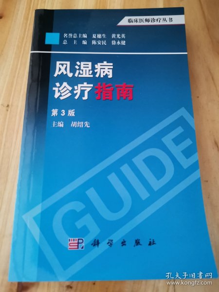 临床医师诊疗丛书：风湿病诊疗指南（第3版）