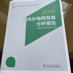 能源与电力分析年度报告系列  2019 国内外电网发展分析报告