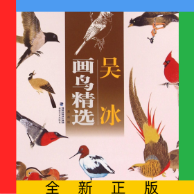 吳冰畫鳥精選