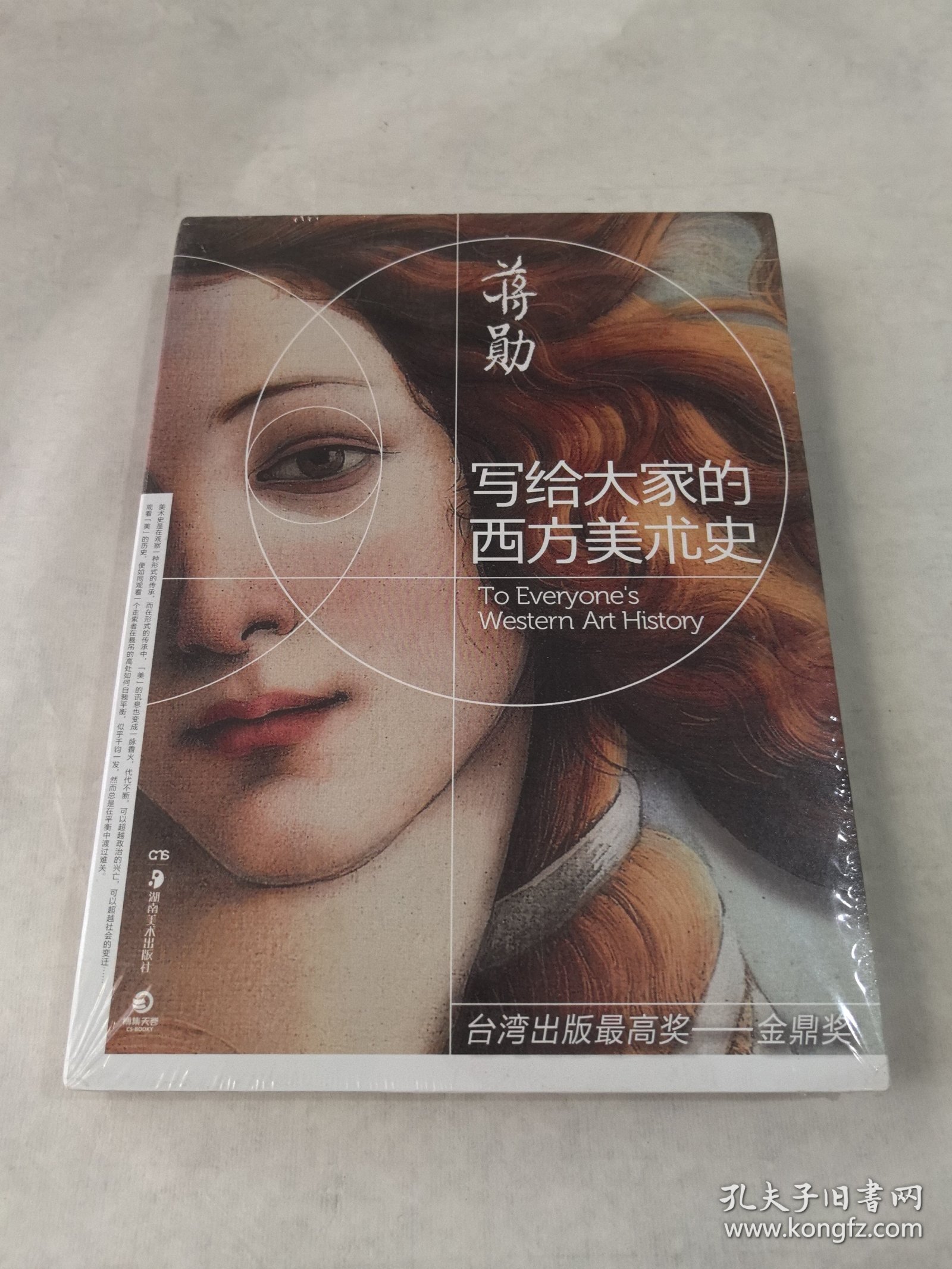 写给大家的西方美术史