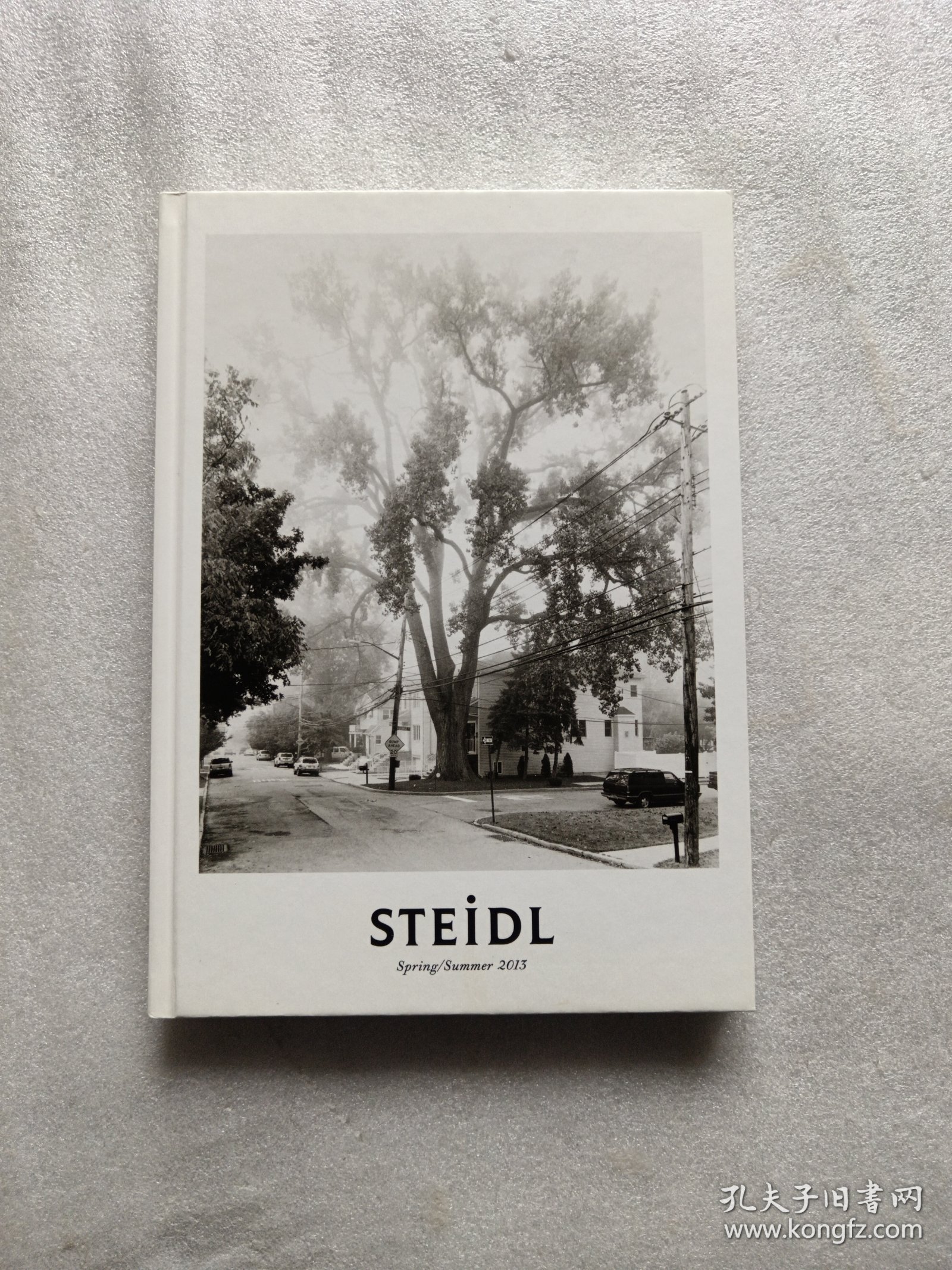 STEIDL:SPRING SUMMER 2013(STEIDL摄影艺术类图书介绍)