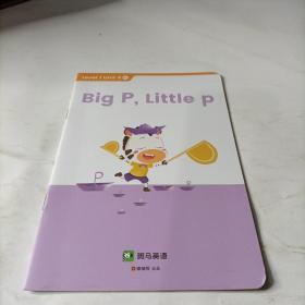 斑马Al课     big p blittle p