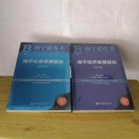 南宁社会发展报告 南宁经济发展报告