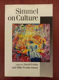 Simmel on Culture: Selected Writings（现货，实拍书影）