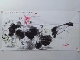 保真书画，山西名家，翟承海四尺整纸花鸟画 《红莲吉鱼图》70×137cm，软片。
       翟承海，中国美术家协会会员，山西省政府文史馆研究员，中国工笔画学会会员，山西省工笔画协会副主席，山西省中国画学会副会长，山西省晋中市美术家协会副主席，清华大学美术学院培训中心高级研修班导师，中国人民大学画院翟承海工作室导师。1994年获第八届全国美展优秀奖（最高奖）。