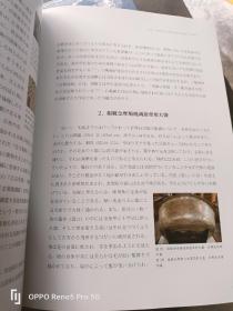 中国古代佛塔地宫文物国际学术研讨会论文集（16开 现货）