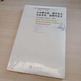 大分野之后：现代主义、大众文化、后现代主义 全新未拆 品相如图 购于书店所以正版