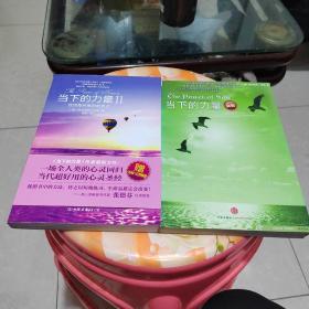 当下的力量Ⅱ：找回每时每刻的自己—当下的力量新版（两册）