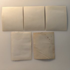 黑白照片：越剧《红楼梦》剧照 大小不一 共5张合售 文件盒十五