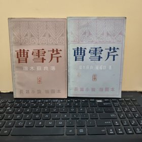 长篇小说 插图本——曹雪芹 上卷 中卷，两册合售（私人藏书，书品好，内页干净无笔记，详细参照书影）客厅2-5