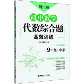 周计划：初中数学代数综合题高效训练（9年级+中考）