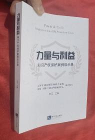 力量与利益：知识产权保护案例启示录