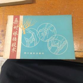 桑树嫁接技术