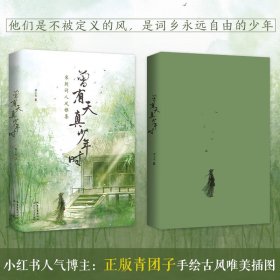曾有天真少年时（12位宋朝词人风雅集，再现宋词群星闪耀时）