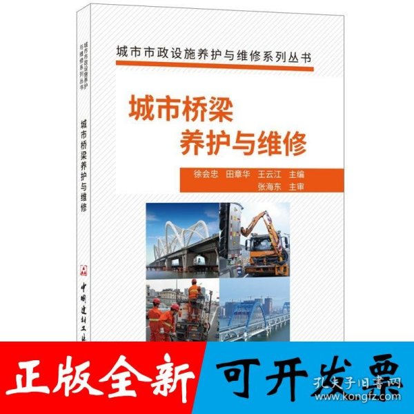 城市桥梁养护与维修·城市市政设施养护与维修系列丛书