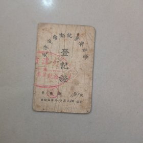 1952年天津市劳动就业委员会登记证