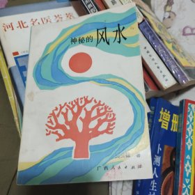 神秘的风水