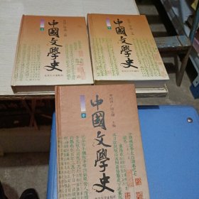 中国文学史（上中下）