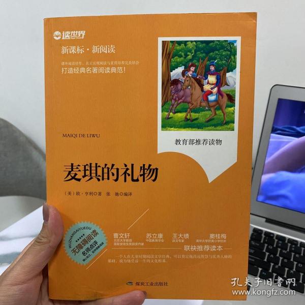 麦琪的礼物（新课标·新阅读）