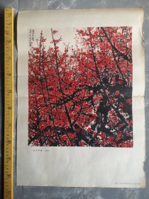 七十年代年画，关山月先生作“俏不争春”人民美术出版社