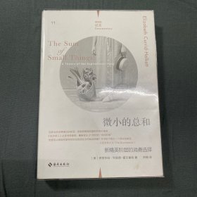 微小的总和：21世纪的志向阶级(理想国纪实系列)