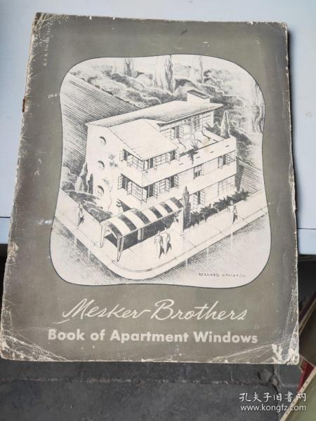 BOOK OF APARTMENT WINDOWS 老建筑杂志