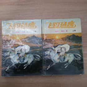 飞豹 杨鹰上下