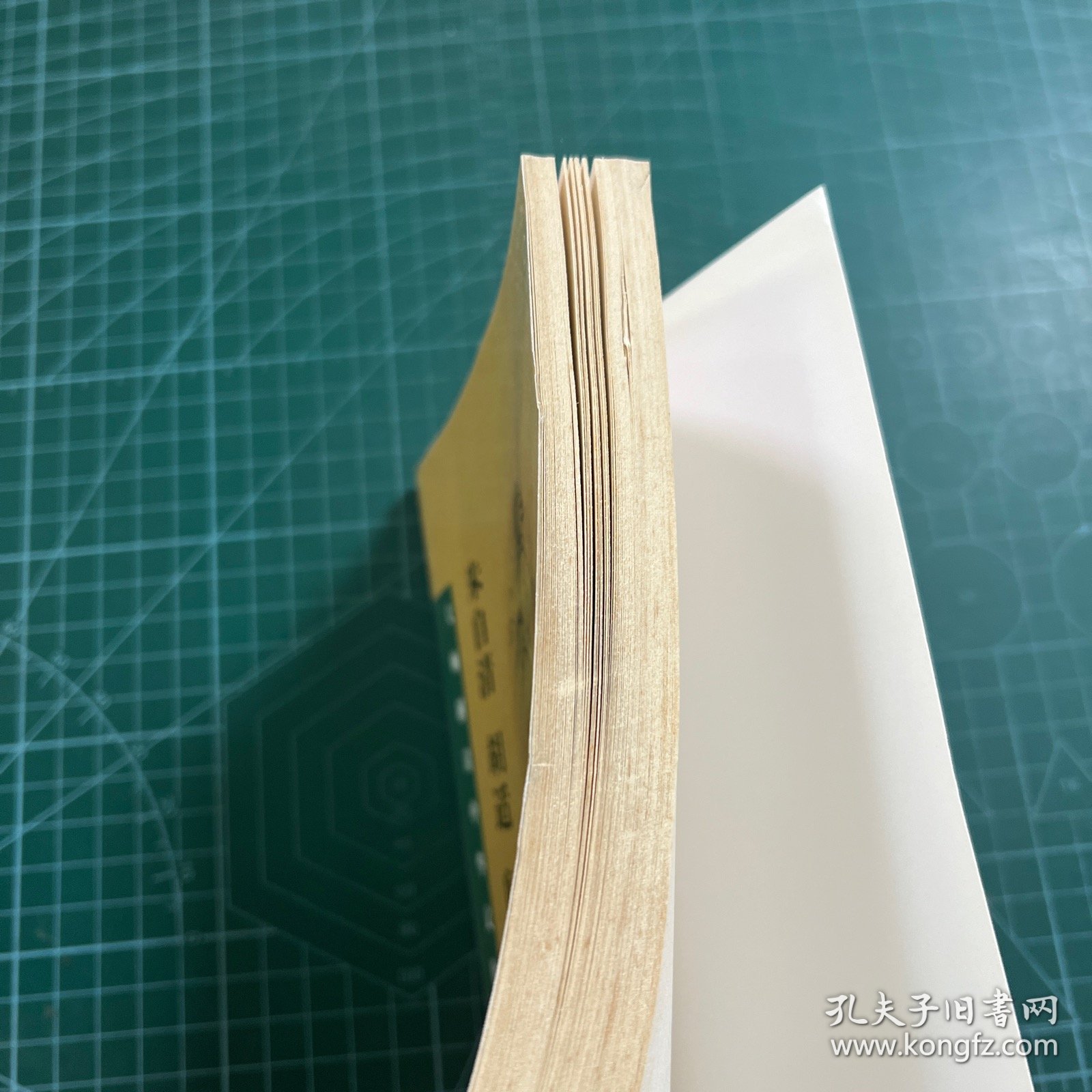 朱自清 胡适 闻一多解读唐诗