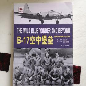 B-17空中堡垒：美军第95轰炸机大队传