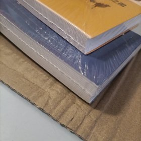 汤液经法图讲记1+2 （两册）