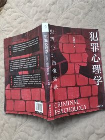 犯罪心理学：犯罪心理画像实录