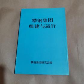 攀钢集团组建与运行