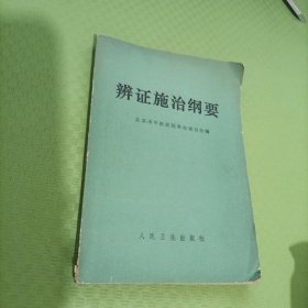 辨证施治纲要