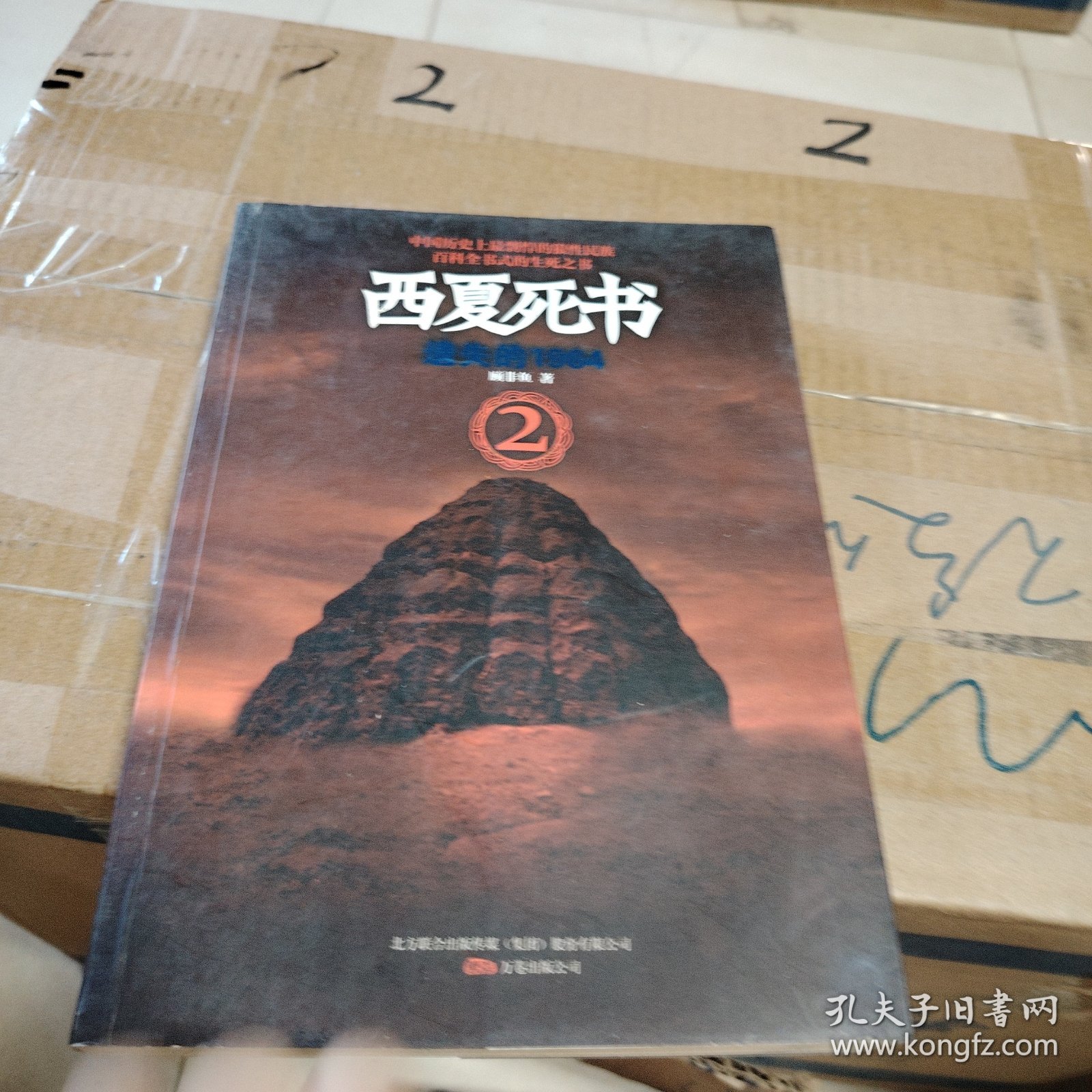 西夏死书2·遗失的1964