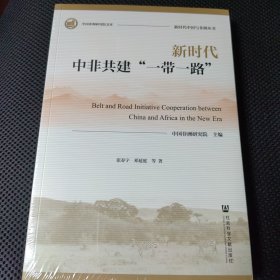 新时代中非共建