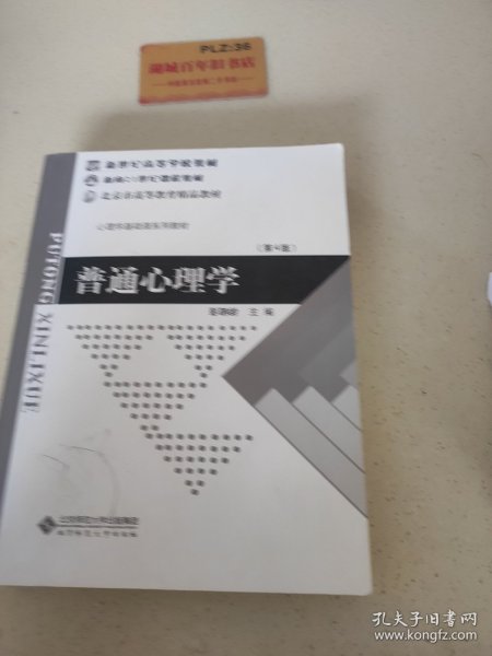 普通心理学（修订版）