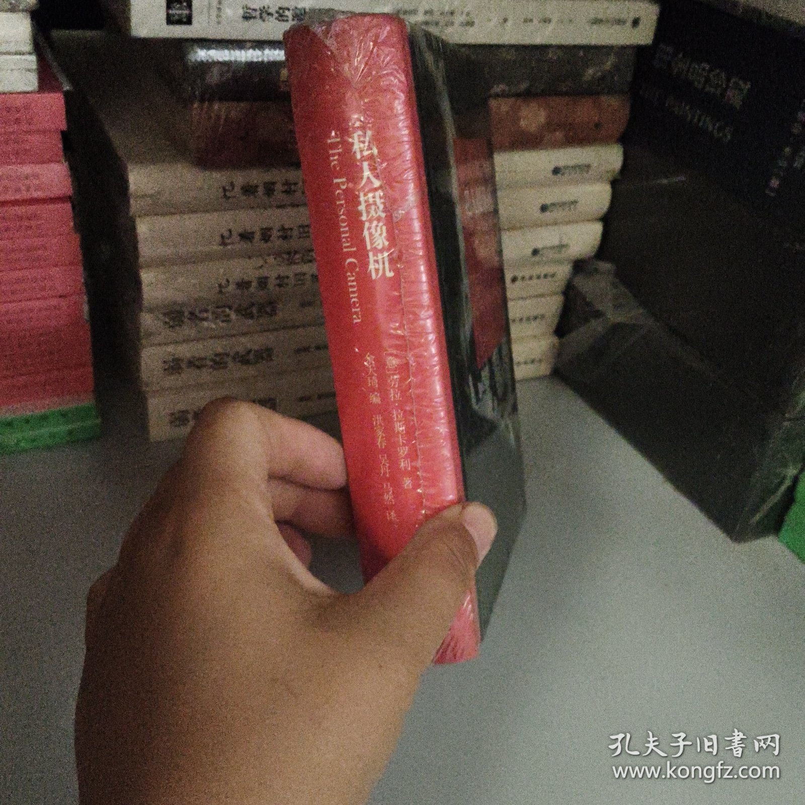 私人摄像机：主观电影和散文影片