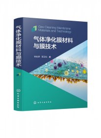 气体净化膜材料与膜技术
