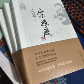 宋振庭文集（上中下）见实图