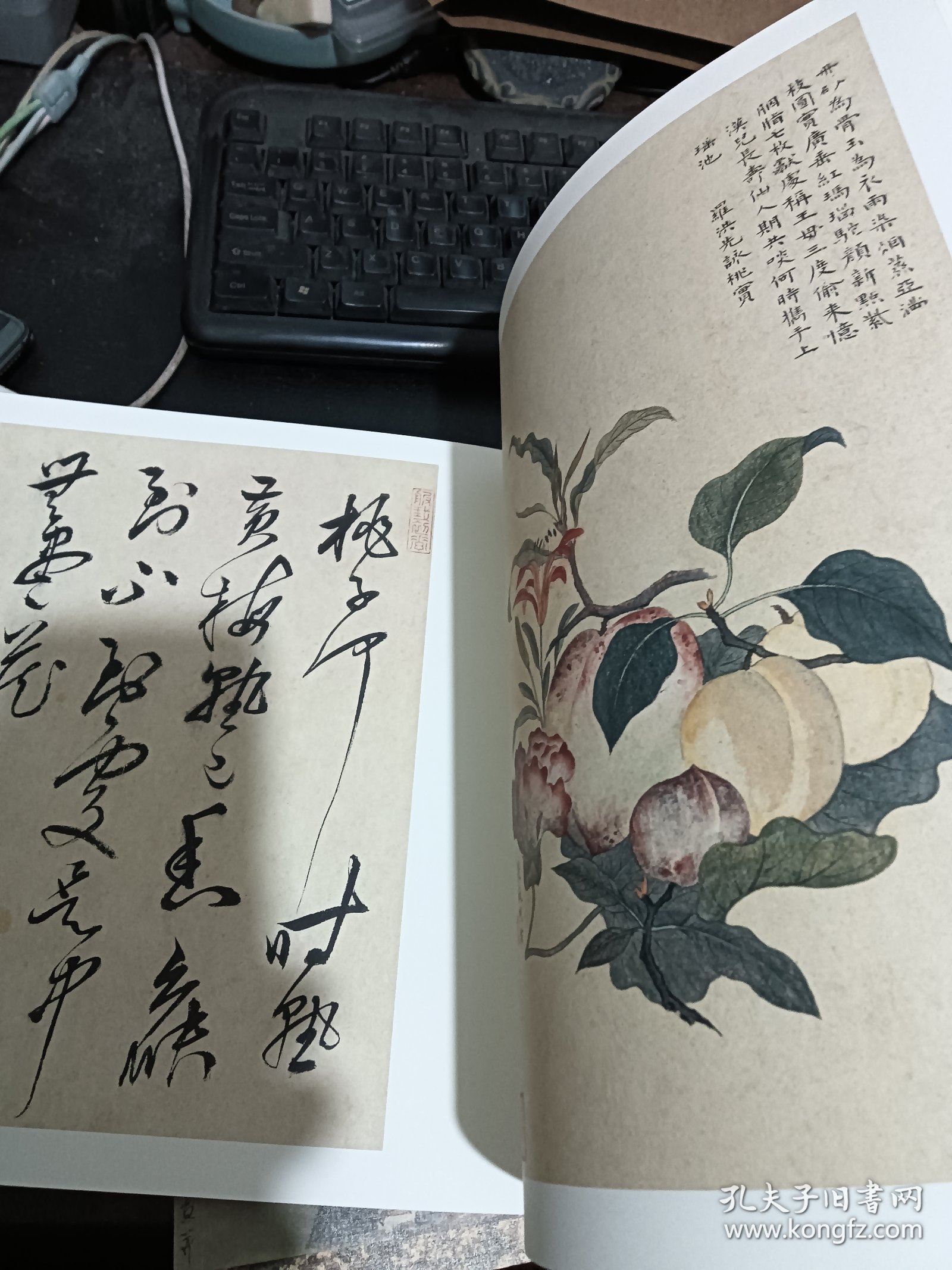 金俊明.陈明自书画册/荣宝斋藏册页