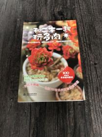 和二木一起玩多肉