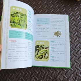 高血压 高血脂 高血糖中草药妙用